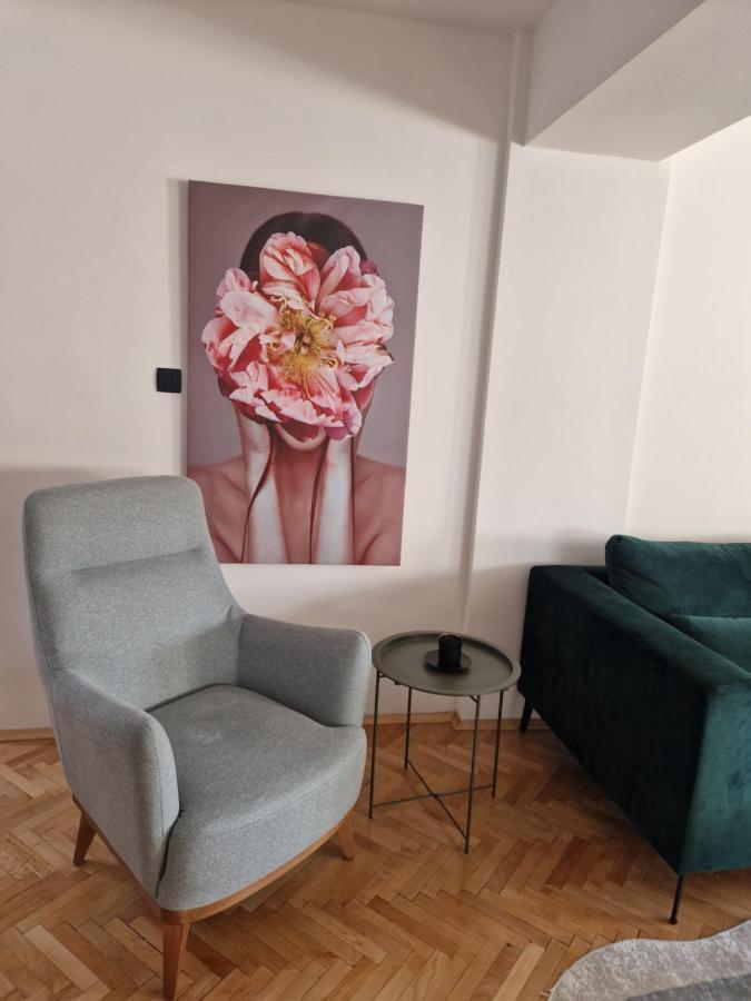 Comfy Center Apartment Skopje Esterno foto